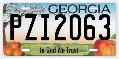 GA license plate PZI2063