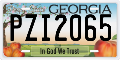 GA license plate PZI2065