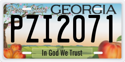 GA license plate PZI2071