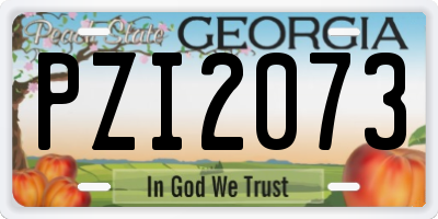 GA license plate PZI2073