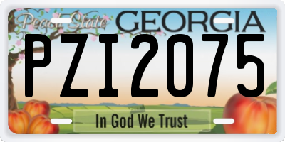GA license plate PZI2075
