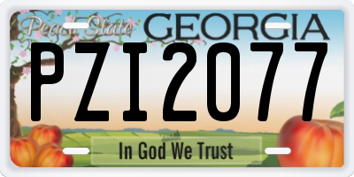 GA license plate PZI2077