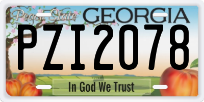 GA license plate PZI2078