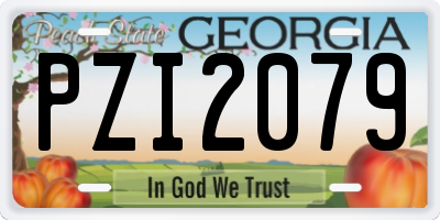 GA license plate PZI2079