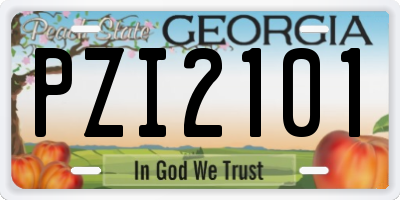 GA license plate PZI2101