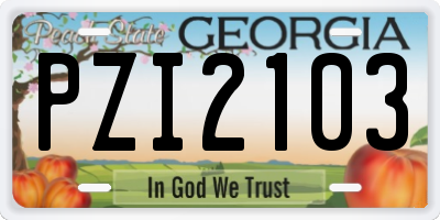 GA license plate PZI2103