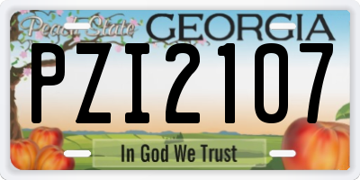 GA license plate PZI2107