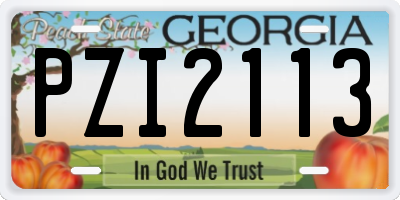 GA license plate PZI2113