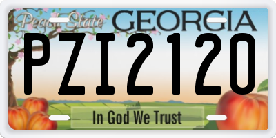 GA license plate PZI2120