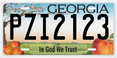GA license plate PZI2123