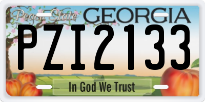 GA license plate PZI2133