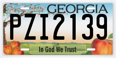 GA license plate PZI2139
