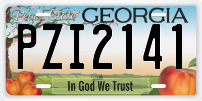 GA license plate PZI2141