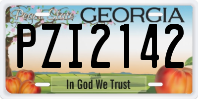 GA license plate PZI2142
