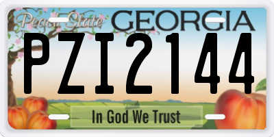 GA license plate PZI2144