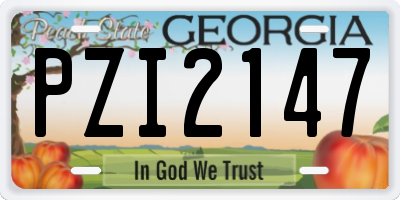 GA license plate PZI2147
