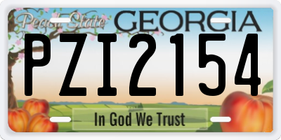 GA license plate PZI2154