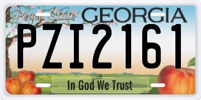 GA license plate PZI2161