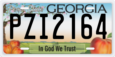 GA license plate PZI2164