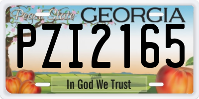 GA license plate PZI2165