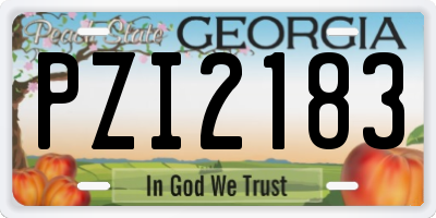 GA license plate PZI2183