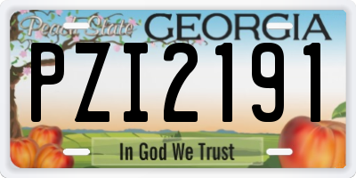 GA license plate PZI2191