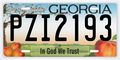 GA license plate PZI2193