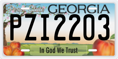 GA license plate PZI2203