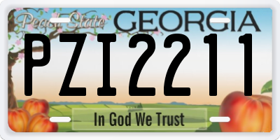 GA license plate PZI2211