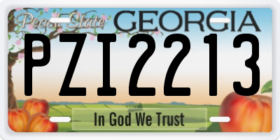 GA license plate PZI2213