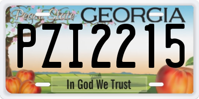GA license plate PZI2215