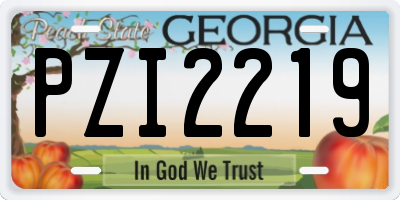 GA license plate PZI2219
