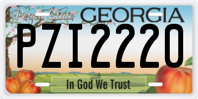 GA license plate PZI2220