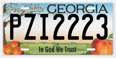 GA license plate PZI2223