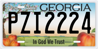 GA license plate PZI2224