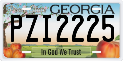 GA license plate PZI2225