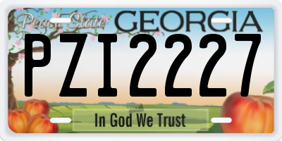 GA license plate PZI2227