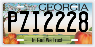 GA license plate PZI2228