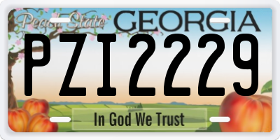 GA license plate PZI2229