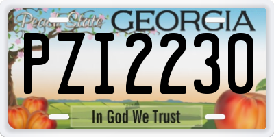 GA license plate PZI2230