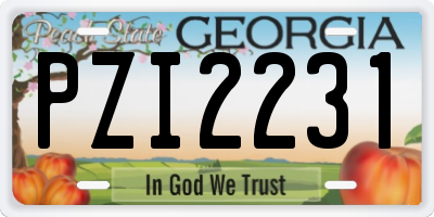 GA license plate PZI2231