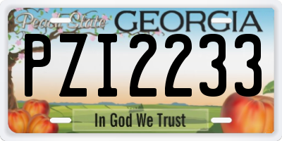 GA license plate PZI2233