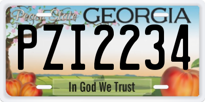 GA license plate PZI2234