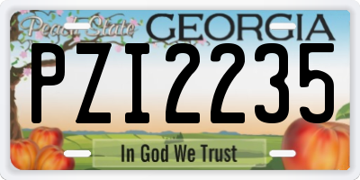 GA license plate PZI2235