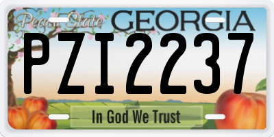 GA license plate PZI2237