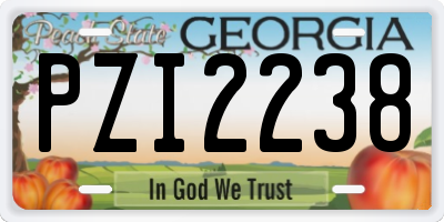 GA license plate PZI2238