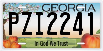 GA license plate PZI2241