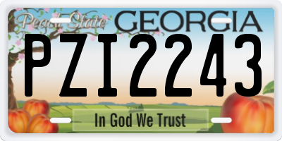 GA license plate PZI2243