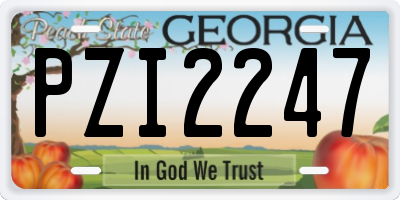 GA license plate PZI2247