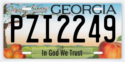 GA license plate PZI2249